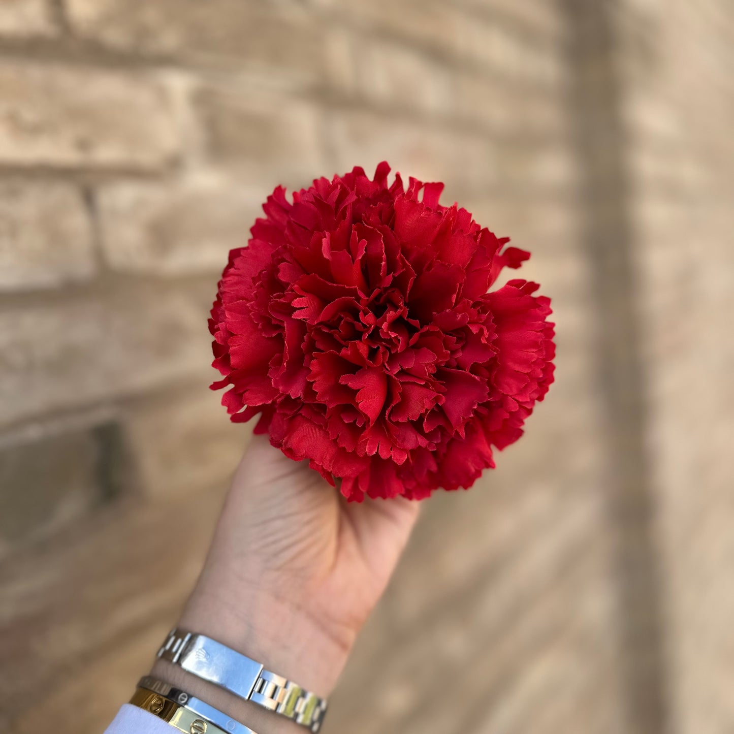 Flor clavel rojo