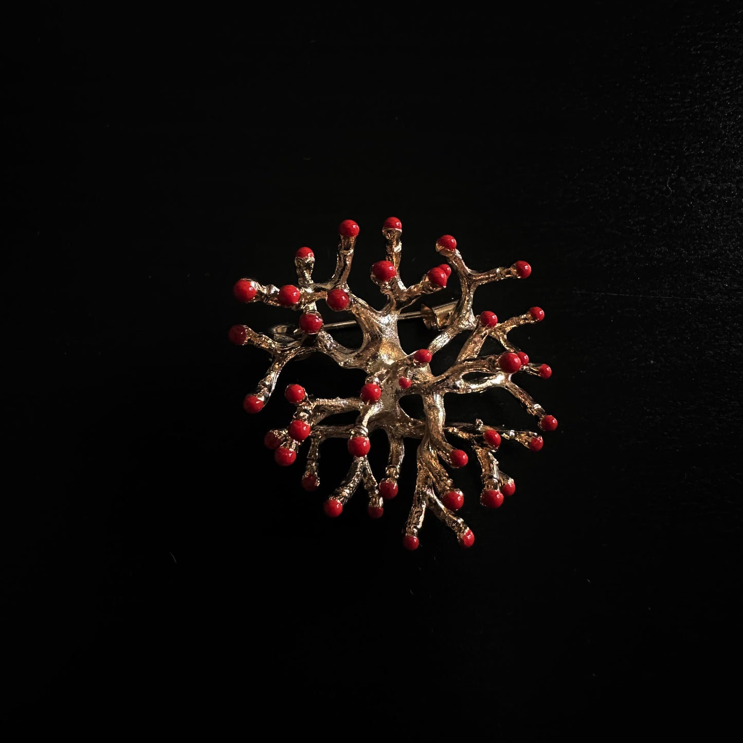 Broche coralitos