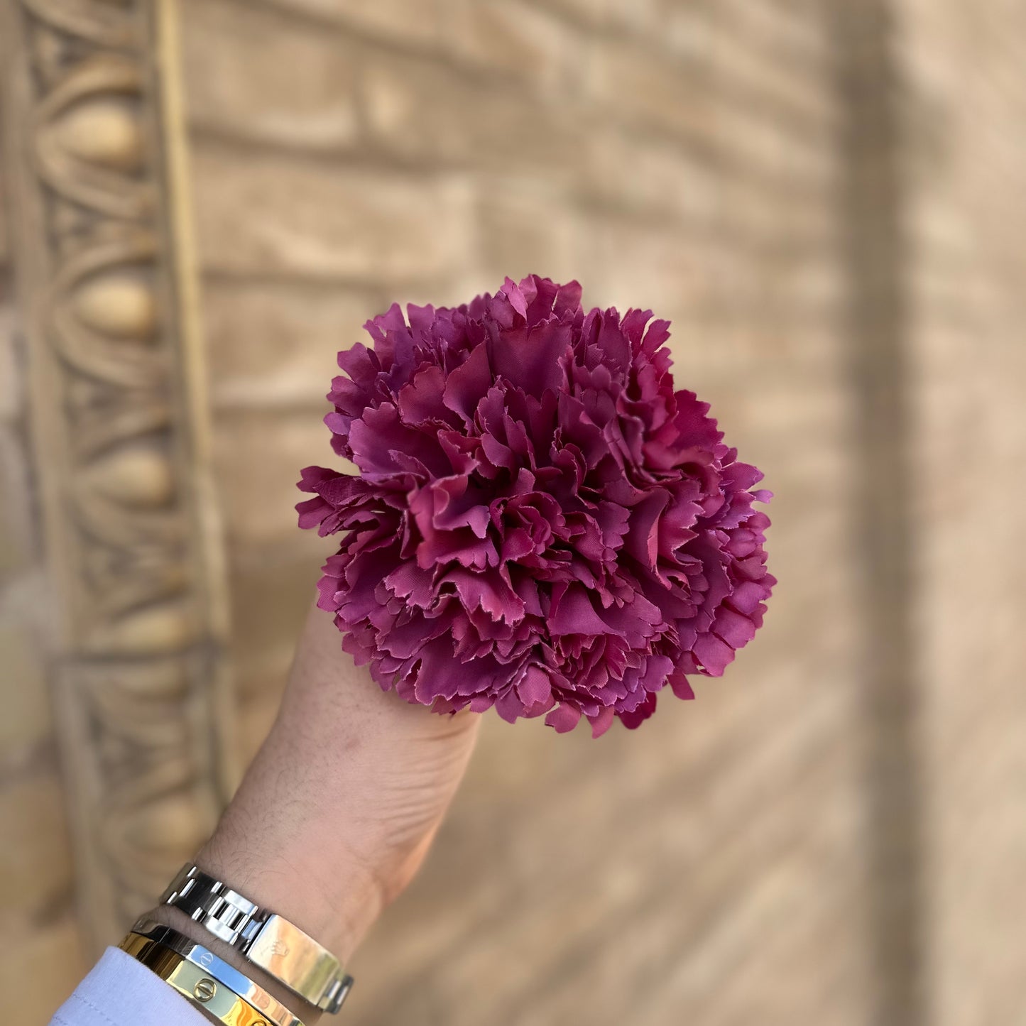 Flor clavel buganvilla