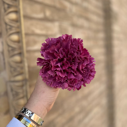 Flor clavel buganvilla