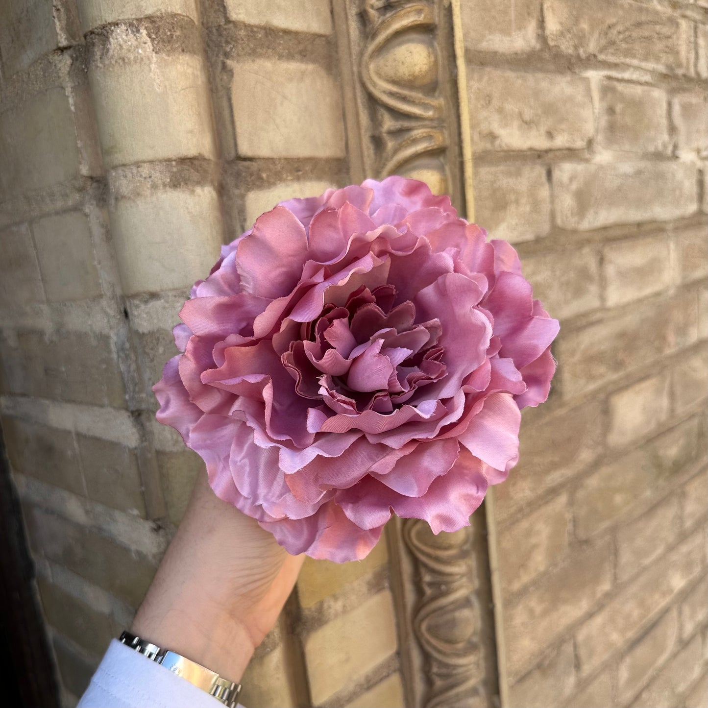 Flor peonía rosa
