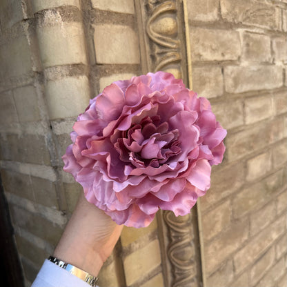 Flor peonía rosa