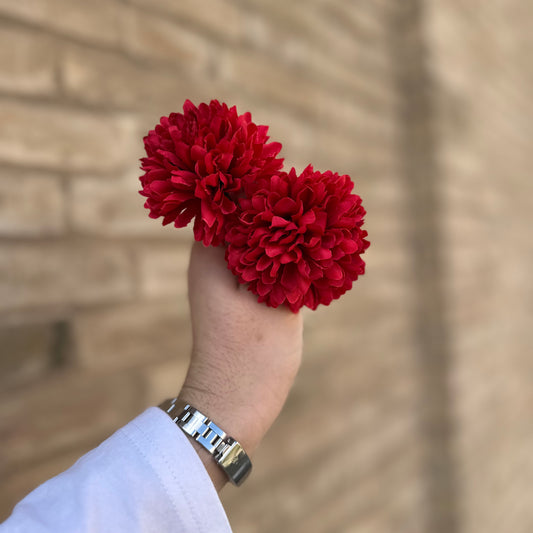 Flor clavel pequeño rojo