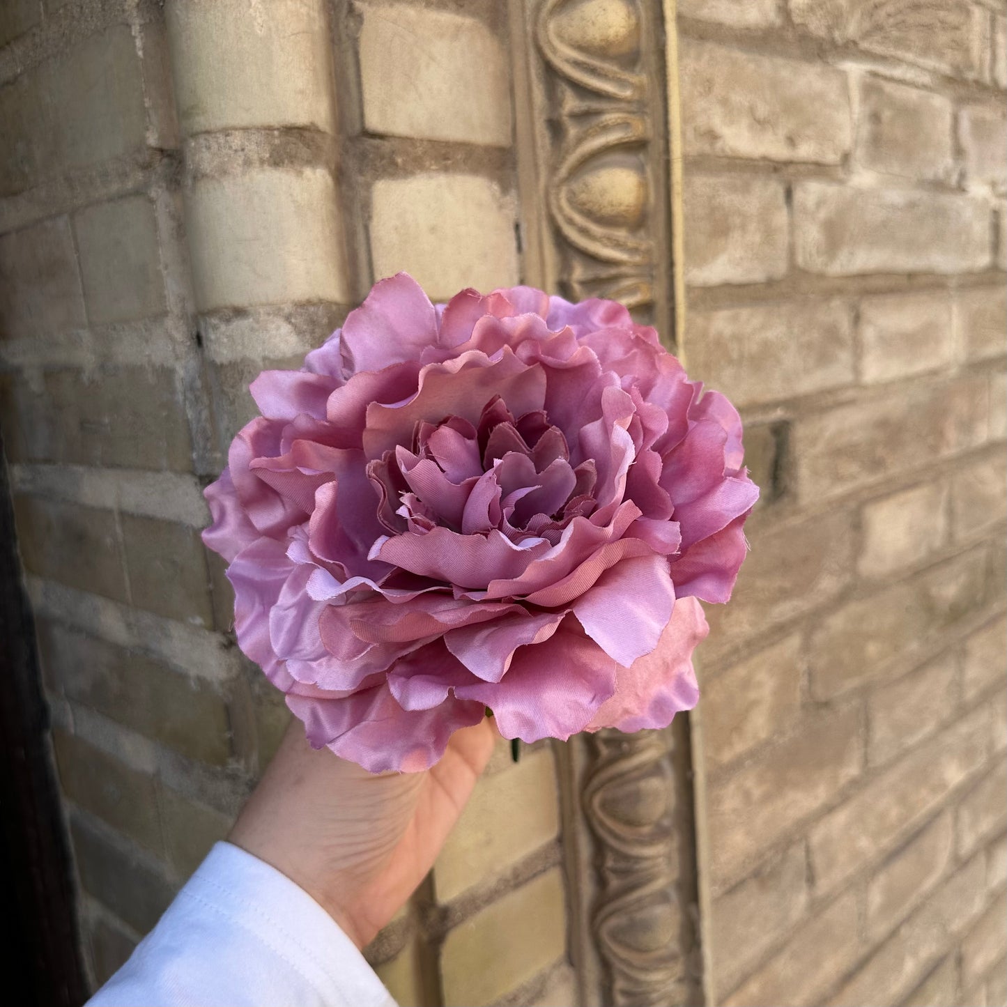 Flor peonía rosa