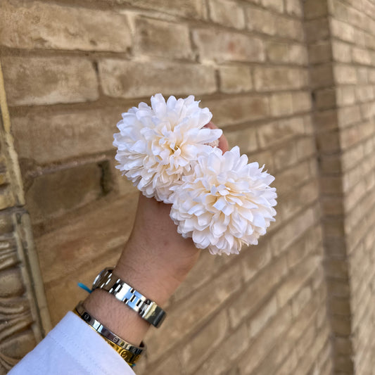 Flor clavel pequeño blanco