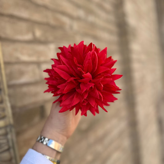 Flor dalia rojo
