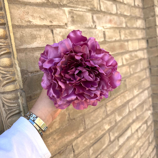 Flor peonía morada