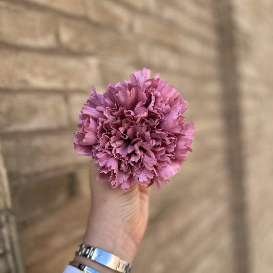 Flor clavel rosa palo