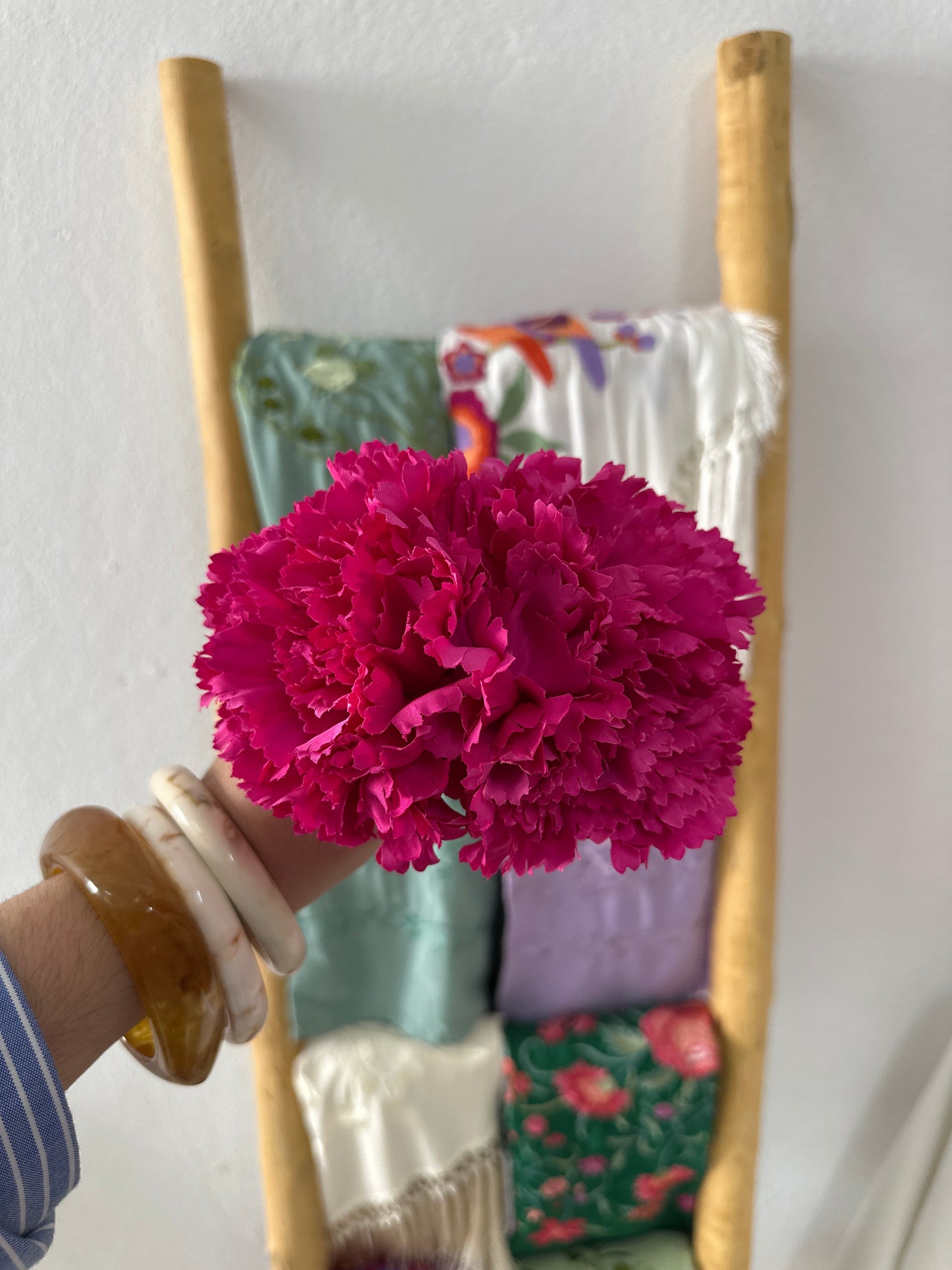 Flor clavel buganvilla