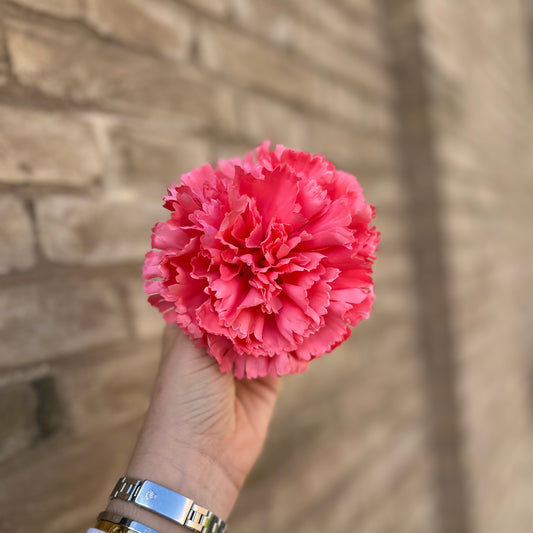 Flor clavel coral